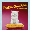 Walter Chandoha. ( Cats. Photographs 1942–2018, ) 이미지