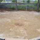 동내초병설유치원 이미지