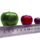 로데오안경여의도점 이미지