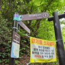 등대길 (중3-7) | [울릉도 여행] 5~7코스 태하령길 해담길, 학포항, 태하등대길, 울릉도독도 해양연구기지, 깃대봉, 칡소