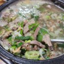 버드나무순대국 | 신곡동 버드나무순대국 머리국 강력추천 내돈내산