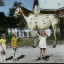 삐삐롱스타킹 이미지