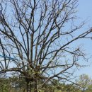 안동마애펜션 이미지