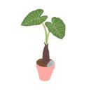 사하구장애인종합복지관 이미지