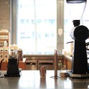 산책하다 이미지