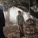 CW-1379-01 이미지