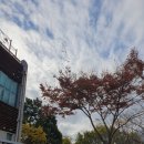 여수시립환경도서관 | 여수 문수동 도서관. 아이들이 좋아하는 여수시립환경도서관