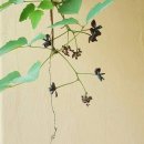 다정누림 이미지