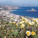 마이애미 이미지