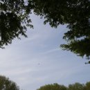 해피데이 이미지