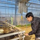 늘푸름농장 이미지