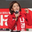 나경원 &#34;尹 정부 혼나도 할말 없지만…야당 200석이면 탄핵 난장&#34; 이미지