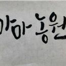 글씨쓰고가게 이미지