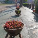 양주덕산초등학교 이미지