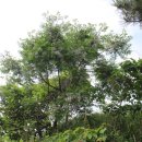 지도횟집 이미지