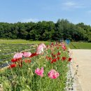 샹벌떼 PC방 이미지