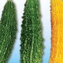 경신농약사 이미지