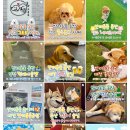 더 펫 플레이스 네이버블로그