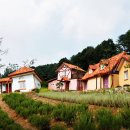 송하펜션 이미지