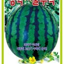 그린종묘농약사 이미지