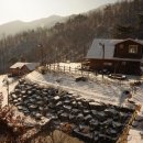 미숭산자연휴양림 이미지