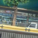 훈훈약국 | 보령약국 우루사 가격 카베진 스트렙실 센시아 비용