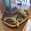 동대구역 근처 한식 : 요술밥상 : 막창한상 + 삼겹살한상 후기 !