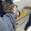 천사마트 이미지