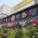 키움농장 | [다복이 꽃 백화점(키움다육농장)] 다양한 식물과 꽃이 있는 김해 장유 꽃집 추천🌷