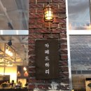 하리애견 이미지