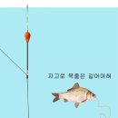 채비의 역활(펌) 이미지