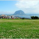 제주 서귀포 산방산 이미지