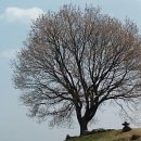 하늘농원민박 이미지