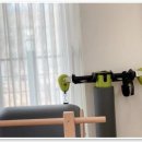 데이얼필라테스 이미지