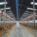 임기만 농장 이미지