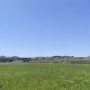 탑동산호전복 이미지