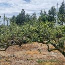 청수1789 이미지