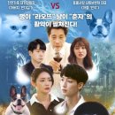 바로펫 주식회사 네이버블로그