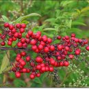 옥산농원 이미지