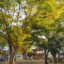 항호공원 이미지