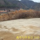 부자365부동산공인중개사사무소 이미지