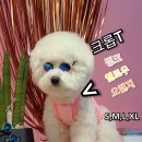 멍블리 애견카페 이미지