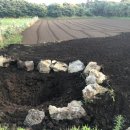 치수농장 이미지