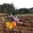 무주천마농장 이미지