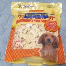 대백애견 이미지