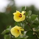 오름이야기 이미지