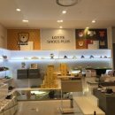 슈즈플러스 이미지