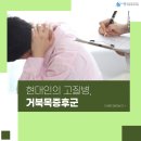 송파굿정형외과의원 이미지