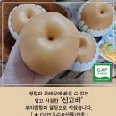 Re: 사과,배,샤인머스캣 (과일꾸러미) 50% 맛보기이벤트 당첨자 이미지