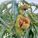 계수농장 이미지